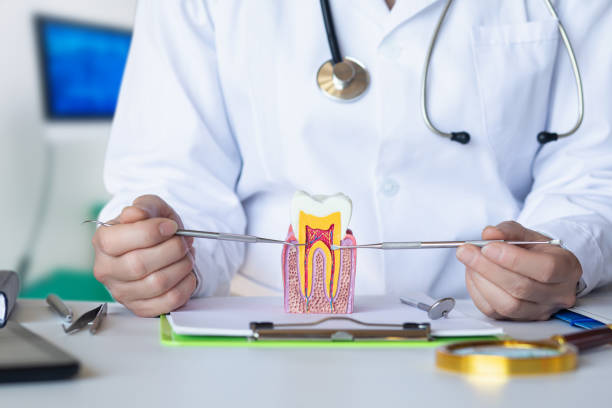 Best Weekend Emergency Dentist in Woodlawn, OH